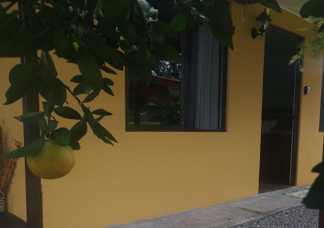Dreamcatcher House Sarchí Zewnętrze zdjęcie